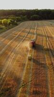 Agricultural machine works on the field in a sunny summer day. Tractor is pressing dried grass into square bales. Aerial view. Motion camera back. Vertical video