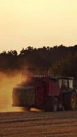 Close-up tractor baling dry grass in the evening. Agricultural machine pressing hay into square bale on the field at sunset. Vertical video