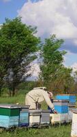 Beekeeper in special uniform working at rural bee farm. Sunny windy day at apiary located in the nature. Vertical video