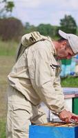 Male beekeeper pulls a heavy frame out of a hive. Man carefully checks up the honeycombs covered with worker bees. Vertical video