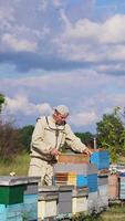 Hard-working apiarist takes the frames out of the hive and shakes off the bees sitting on them. Man piles the frames near the hive. Nature backdrop. Vertical video