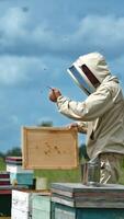 Apiarist hits the hive lid with his fist to shake off the bees. Lots of bees flying over the man and apiary. Cloudy sky backdrop. Vertical video