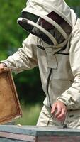 Beekeeper in protective uniform takes off the lid of the bee hive. Man uses smoker to calm the bees down. Blurred nature backdrop. Vertical video