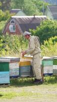 Experienced beekeeper checking up honey frames on his bee farm. Man working on apiary with wooden hives. Village at the backdrop. Vertical video