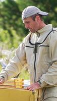 Mid-aged bearded man working at the bee farm. Beekeeper puts the frames into a wooden box. Nature backdrop in blur. Vertical video