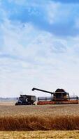 Agricultural machinery during seasonal works. Combine harvester and tractor working on the field in the countryside in a bright summer day. Vertical video