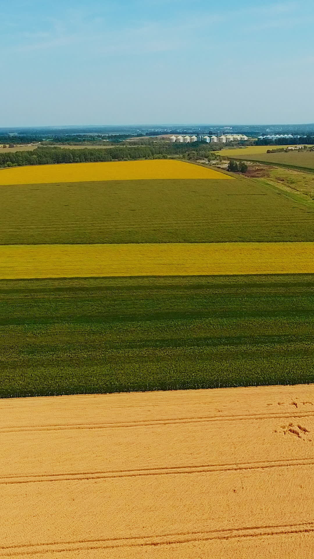 Multicolored farmlands under the blue skies. Agricultural fields with