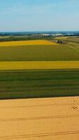 Multi-colored farmlands under the blue skies. Agricultural fields with different crops side by side. Forests and cityscape at backdrop. Vertical video