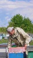 Apiculturist rises a hive with frames and opens another one. Beekeeper applied a smoker and metal tool in the hive. Vertical video