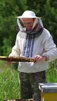 Beekeeper examining honeycomb frame. Happy apiarist looks at a bee frame full with honey at apiary. Production of organic food. Apiary concept. Vertical video