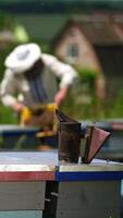 Bees chimney on a hive. Beekeeper working at apiary in summer in rural place. Many beehives standing on grass. Beekeeping process. Vertical video