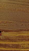 Combine harvester harvesting ripe crop on field. View from above on the agricultural machine moving on the golden field. Aerial view. Slow motion. Vertical video