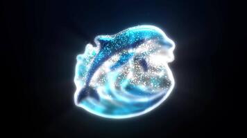Abstract Dolphin Logo with Sleek Lines and Oceanic Colors, Featuring Liquid Water and Particle Effects. video
