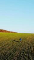 Cute boy is running around the green field in the early spring. Active kid chasing happily on the ground of winter wheat in a sunny day. Aerial view Vertical video