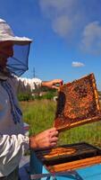 Farmer working on apiary. Beekeeper looking after bees on village background. Smiling man in protective hat inspecting bees on a beehive. Vertical video