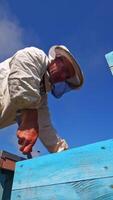 Beekeeper looks into hive. Apiarist working with bee frames against blue sky. Beekeeping process. View from below. Vertical video