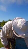 Beekeeper in protective hat. Apiarist inspects frame with bees and talks about their work. Apiary in countryside. Apiculture concept. Vertical video