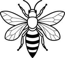 A creative minimalistic smooth outline of a bee vector