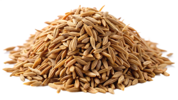 Cumin isolated on transparent background png