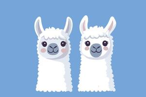 two cute llamas with fluffy white fur vector