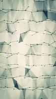 Abstract Geometric Plexus Network Animation in Muted Green and Gray video