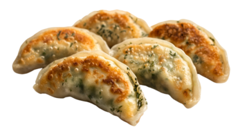 Pot Stickers No Background Applicable to any Context Perfect for Print on Demand png