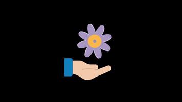 Rotating Flower Animation with transparent video