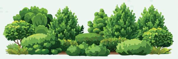 Lush green bushes and trees forming a forest bordering a dirt path vector