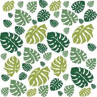 Monstera pattern background vector