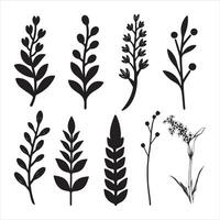 Set of Botanical Silhouettes with Various Leaf Designs vector