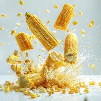 a corn on the cob falling into a pile of corn kernels photo