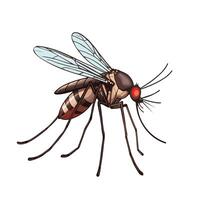 Aedes spreads dengue, Anopheles spreads malaria, both thrive in stagnant water and bite to infect vector