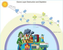 Ozone layer depletion is mainly caused by CFCs and pollutants breaking down ozone molecules vector