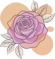 a rose line art illustration with color blobs style vector