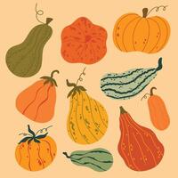 Set of various cartoon pumpkins illustration elements. Collection of different shapes gourds. vector