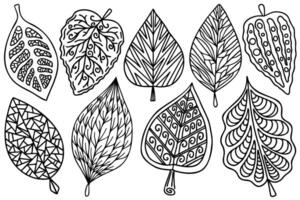 Stylized decorative line art tree leaves set. Collection of zentangle patterned autumn hand drawn contour leaves, abstract decorative design elements. vector
