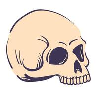 Human skull illustration. stylized cranium isolated on white background. Human bone for Halloween decor or product design in mystical style, attribute for witches magic rituals. vector