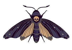 flying butterfly. Hawk moth Dead head . Symbol of mysticism, occultism, magic. Colored moth on a white background. vector