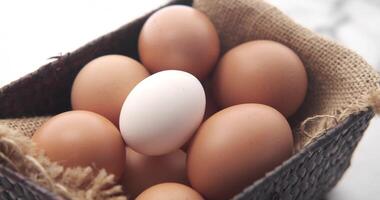 White eggs in a basket video