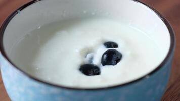 A bowl of yogurt with blueberries in it video