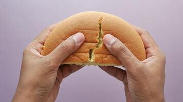 A person holding a piece of bread with a crack in it video