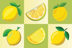 Lemon slices. fresh lemon with lice illustration. Fresh citrus, half sliced lemons and chopped lemon. vector