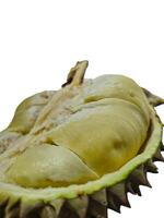 Durian cut open to reveal large, delicious segments. Isolated on a white background. Durian is the king of fruits. photo