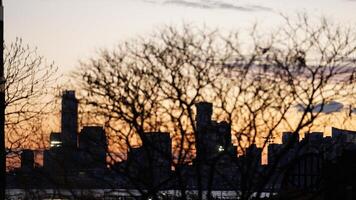 The beautiful city sunset view with the blue time sky in the New York photo