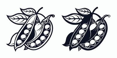 creative two peas with leaves and pods on a white background vector