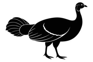 Turkey Silhouette, Illustration, Wildlife Clipart, Animal Art, Bird Silhouette Design vector