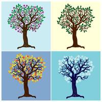 Tree representing the four seasons vector