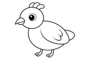 High Contrast Quail Coloring Page with Clear Lines vector