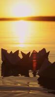 Female's hand putting one paper boat on the water and it joins to other ones at sunset. New origami ship adding to the rest during beautiful sunset with the sun reflection in the lake Vertical video