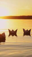 Many nice homemade paper boats floating in the river with a beautiful sunset background. Ships made from paper swimming on the water surface in the evening Vertical video